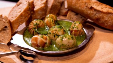 img_7379-snails