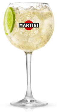 martini-drinkserves-360x700-biancoandtonic